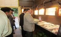 نمایشگاه مبارزه با مواد مخدر در نگارخانه شهریار افتتاح شد .