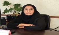 پیام تبریک سرپرست شبکه بهداشت و درمان به مناسبت روز روانشناس و مشاور
